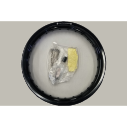 2.5 x 17 </br> Black Anodized </br> K&J Rim